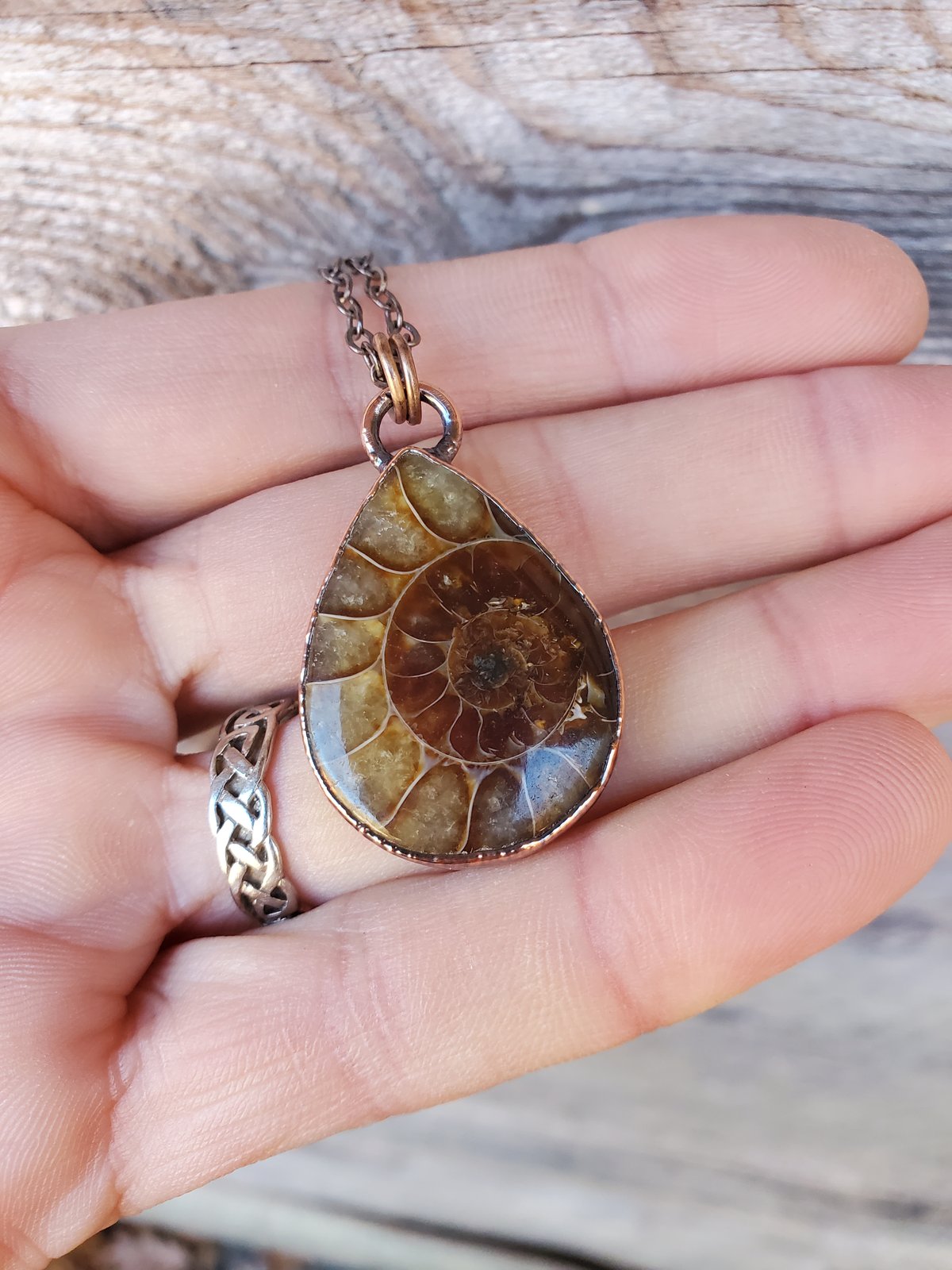 Image of Ammonite Teardrop #3