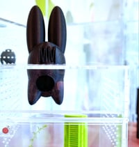 Image 1 of Mountain Rabbit Hide - BLACK