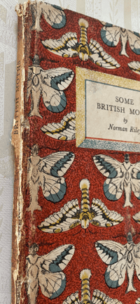 Image 2 of Some British Moths vintage King Penguin book (A)