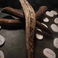 Image 2 of Elk Antler with Runes