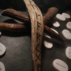 Image of Elk Antler with Runes