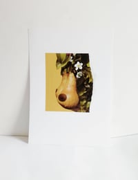 Image 3 of Diversi-tits