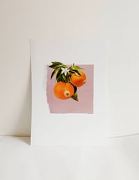 Image 2 of Diversi-tits