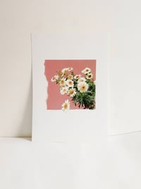 Image 4 of Diversi-tits