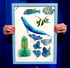 Framed hand painted nature illustrations -  Blue Whale, Butterflies etc. Image 2