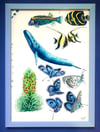 Framed hand painted nature illustrations -  Blue Whale, Butterflies etc.