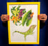 Framed hand painted nature illustrations - Frog and iguana. Image 2
