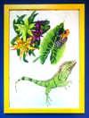 Framed hand painted nature illustrations - Frog and iguana.