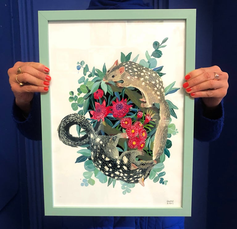 Framed hand painted nature illustrations - Quolls Image 2
