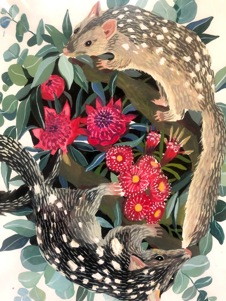 Framed hand painted nature illustrations - Quolls Image 3