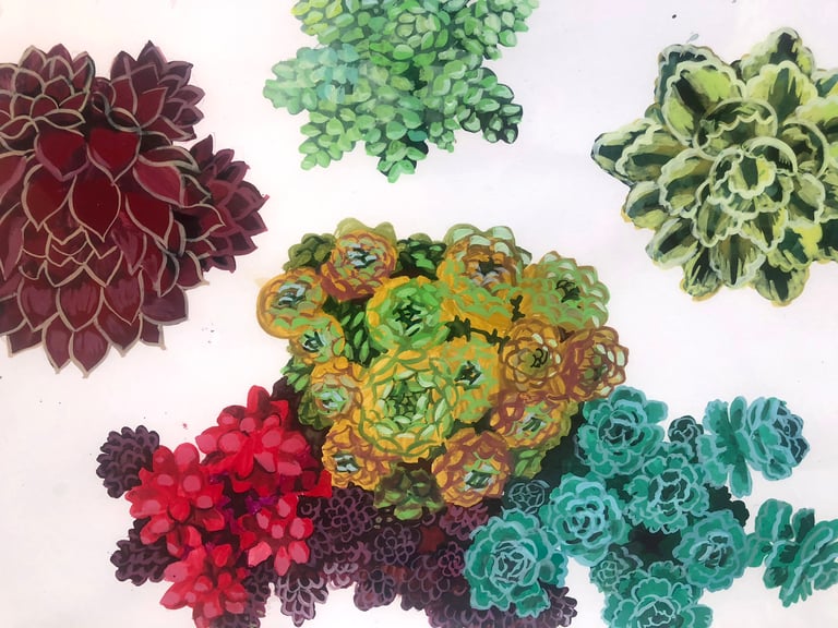 Framed hand painted nature illustrations - succulents. Image 3