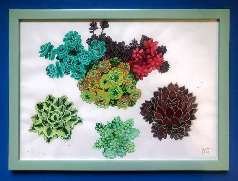 Framed hand painted nature illustrations - succulents.