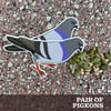 UDCNY Pigeon Sticker Pair