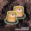 UDCNY Groundhog Sticker Pair