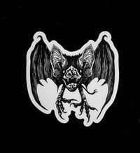 Image 1 of Vampire Bat