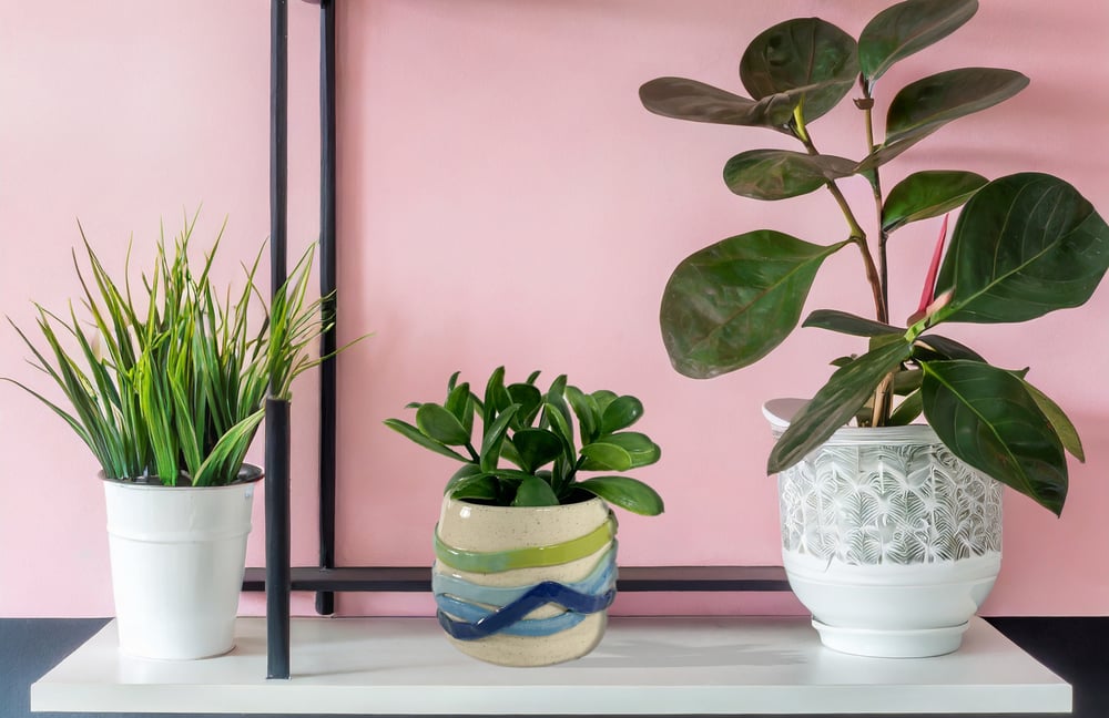 Image of Small Blue and Green Wavy Texture Planter