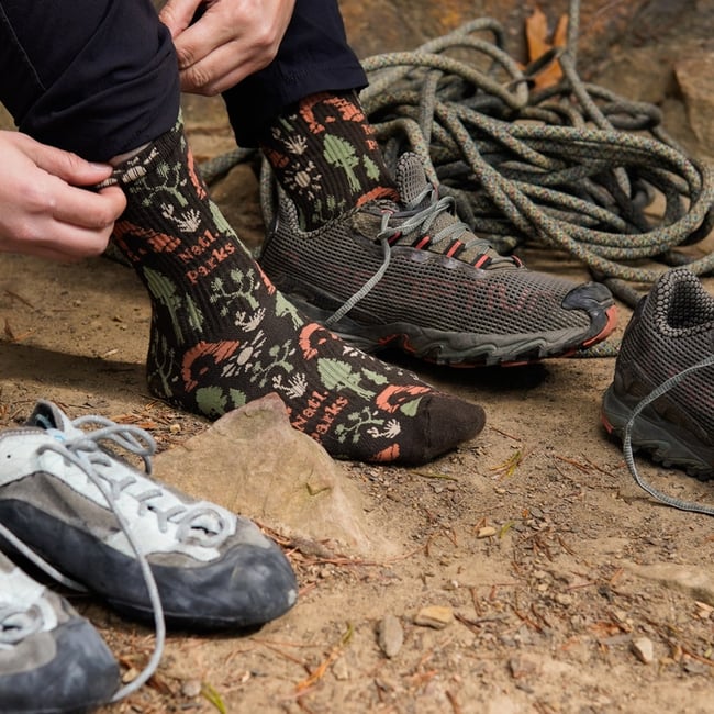 National Park Roundup Sock