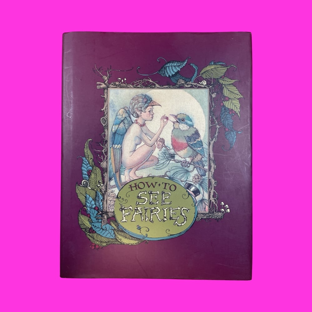 BK: How To See Fairies 1st Edition Charles Van Sandwyk Smithmark 1999 HB 