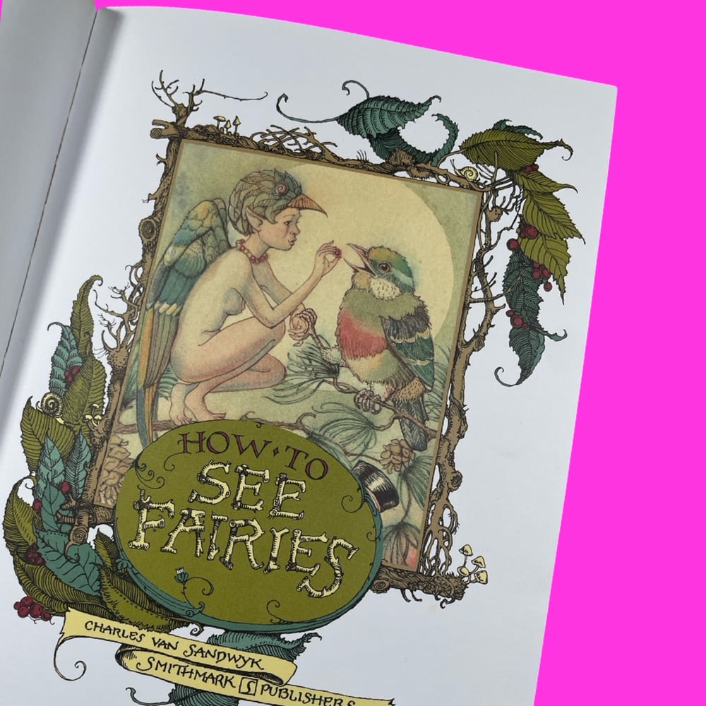 BK: How To See Fairies 1st Edition Charles Van Sandwyk Smithmark 1999 HB 