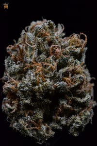 Image 3 of Cumwalker