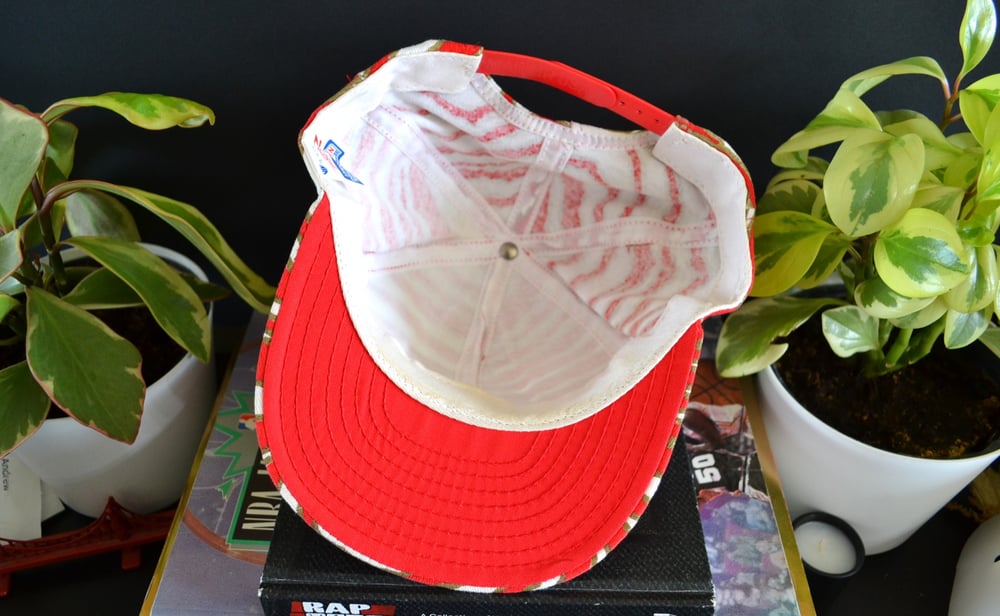 Image of Vintage 1990's San Francisco 49ers AJD Zubaz Snapback Hat