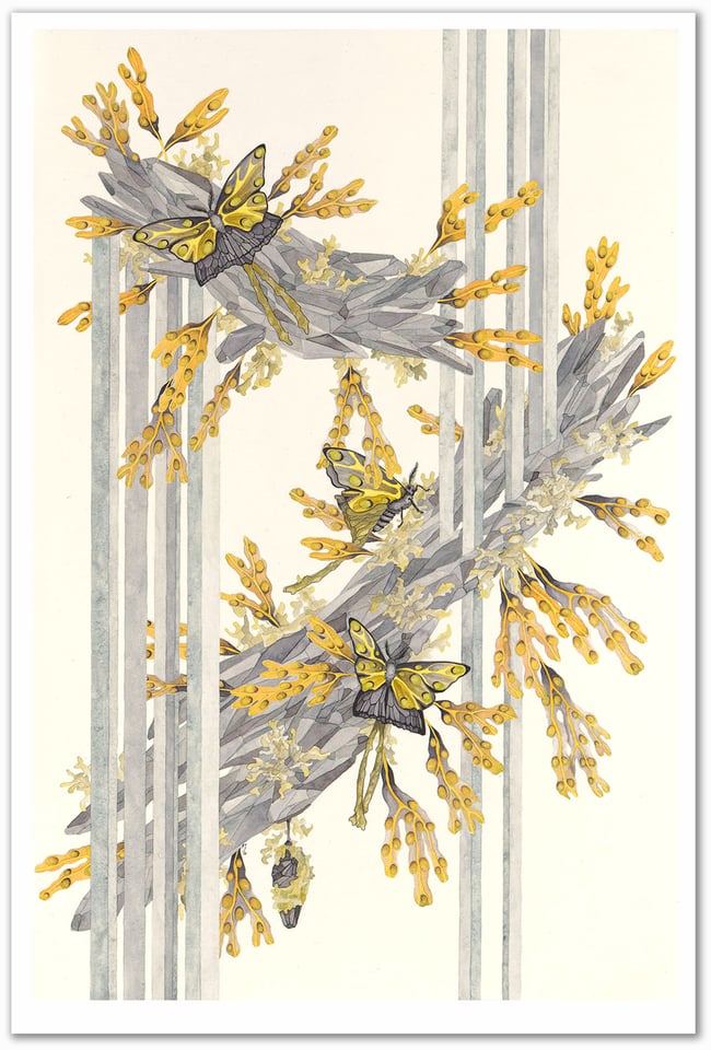 Adaptation 1 Limited Edition Print