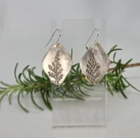 Image 1 of Fine Silver Fern Earrings - (SJ017)