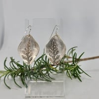 Image 3 of Fine Silver Fern Earrings - (SJ017)