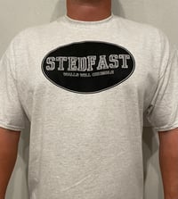 Image 4 of Stedfast “walls will crumble” shirt