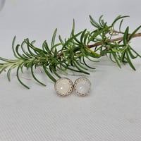 Image 3 of Sterling Silver Moonstone Studs - (SJ020)