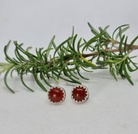 Image 2 of Sterling Silver Carnelian Studs - (SJ021)