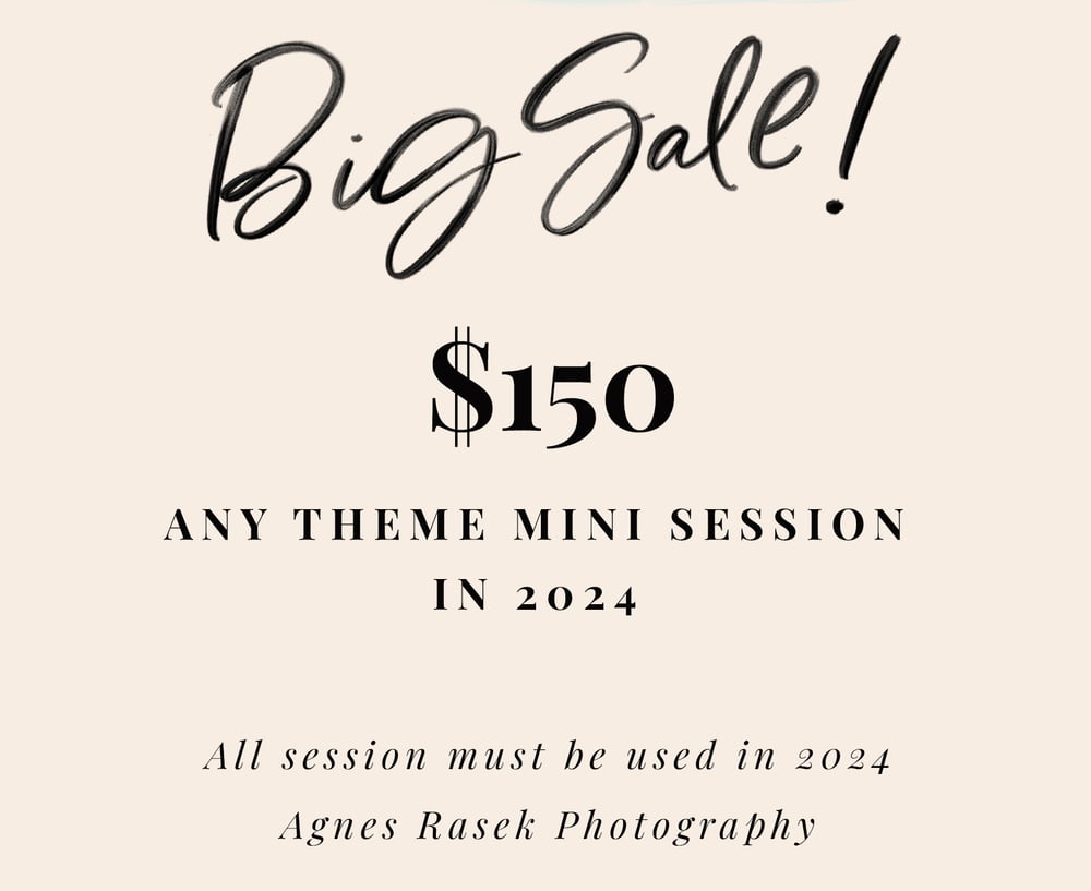 Image of $150 ANY THEME MINI SESSION IN 2024