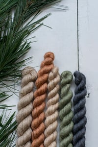 Image 2 of Christmas - sparkle sock set