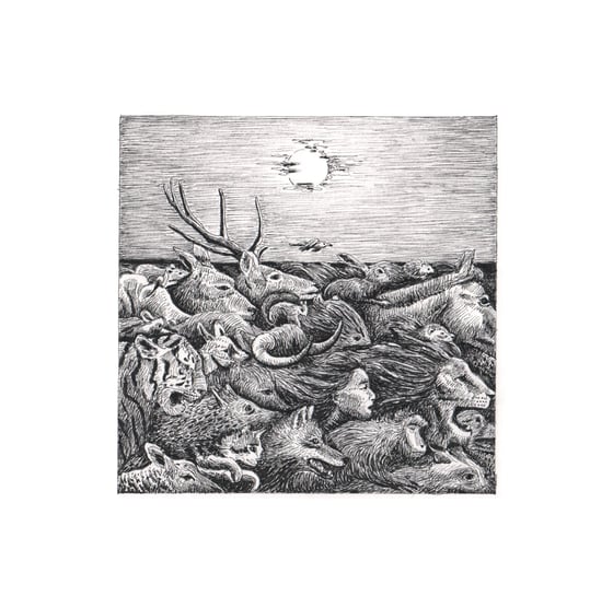 Image of Rush