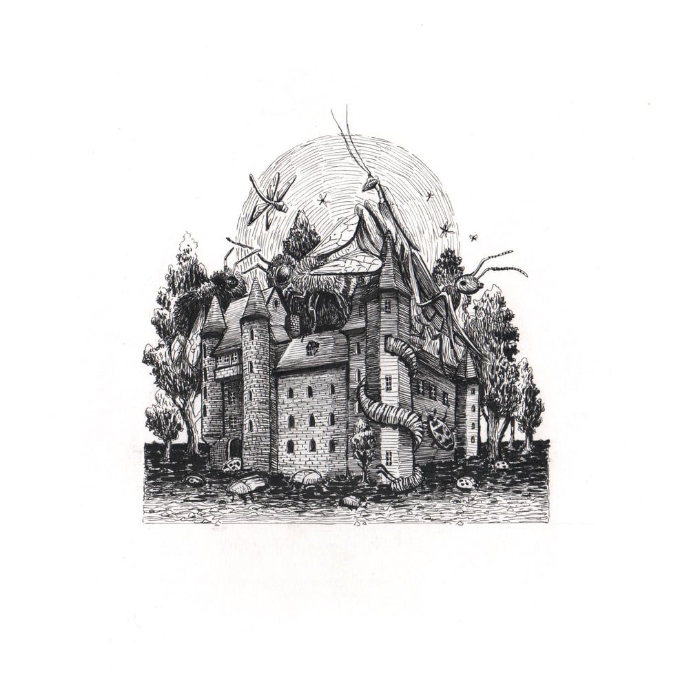 Image of Castle