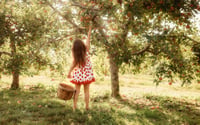 Image 1 of Apple Orchard Adventure Sessions (September 2024)