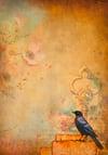 Sempiterna - Rice Paper - I am the Raven