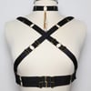 Multi-position harness in satin elastic