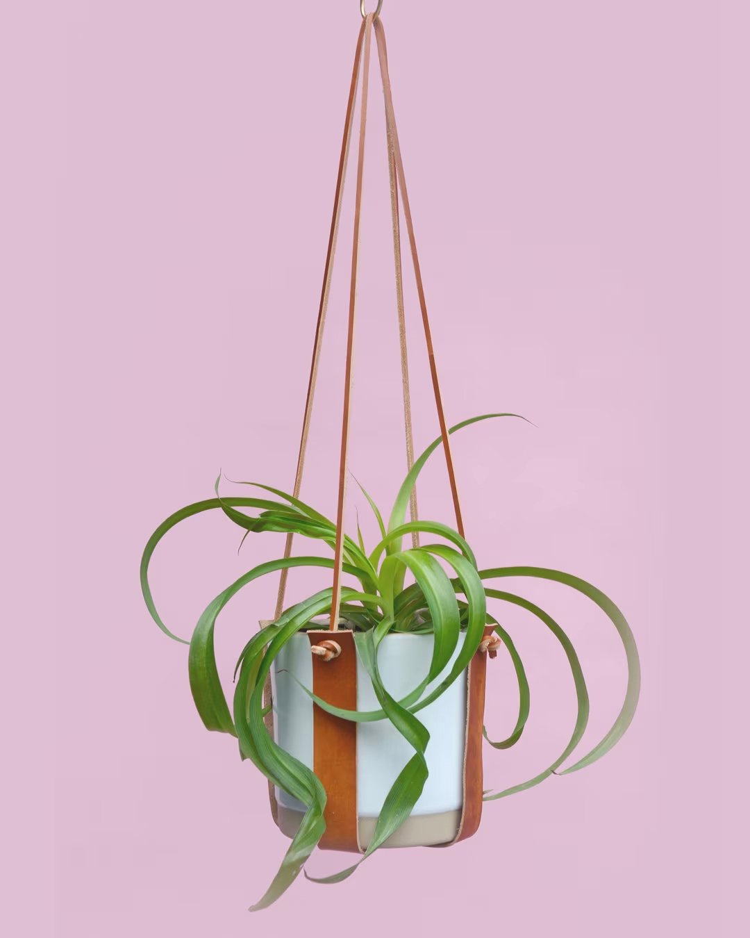 Image of Plant Hugger Leather Plant Pot Hanger