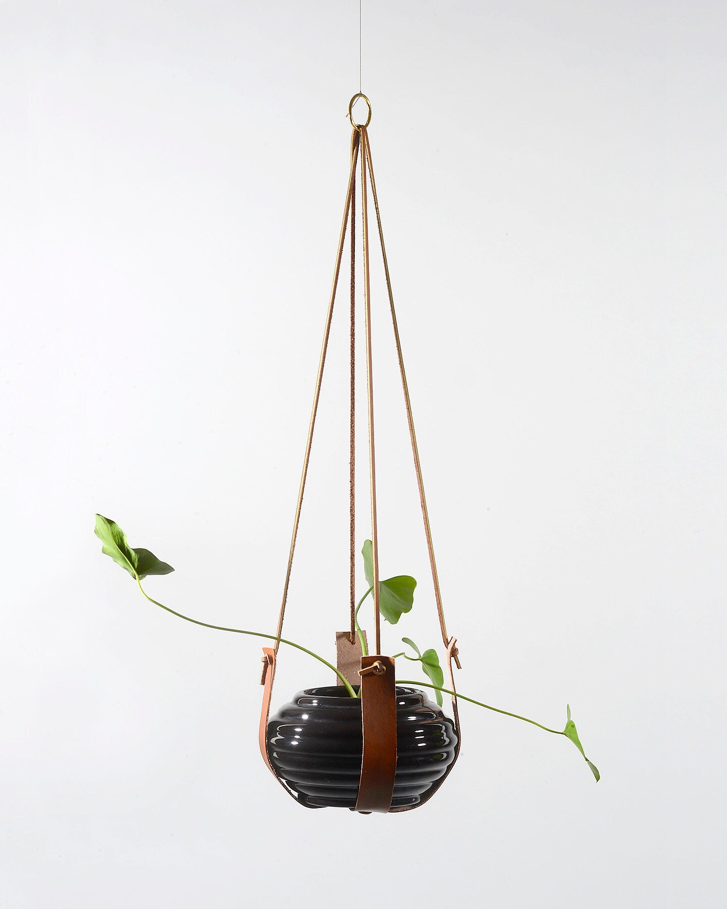 Image of Plant Hugger Leather Plant Pot Hanger