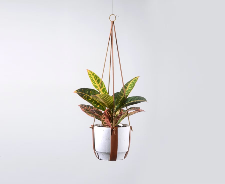 Image of Plant Hugger Leather Plant Pot Hanger