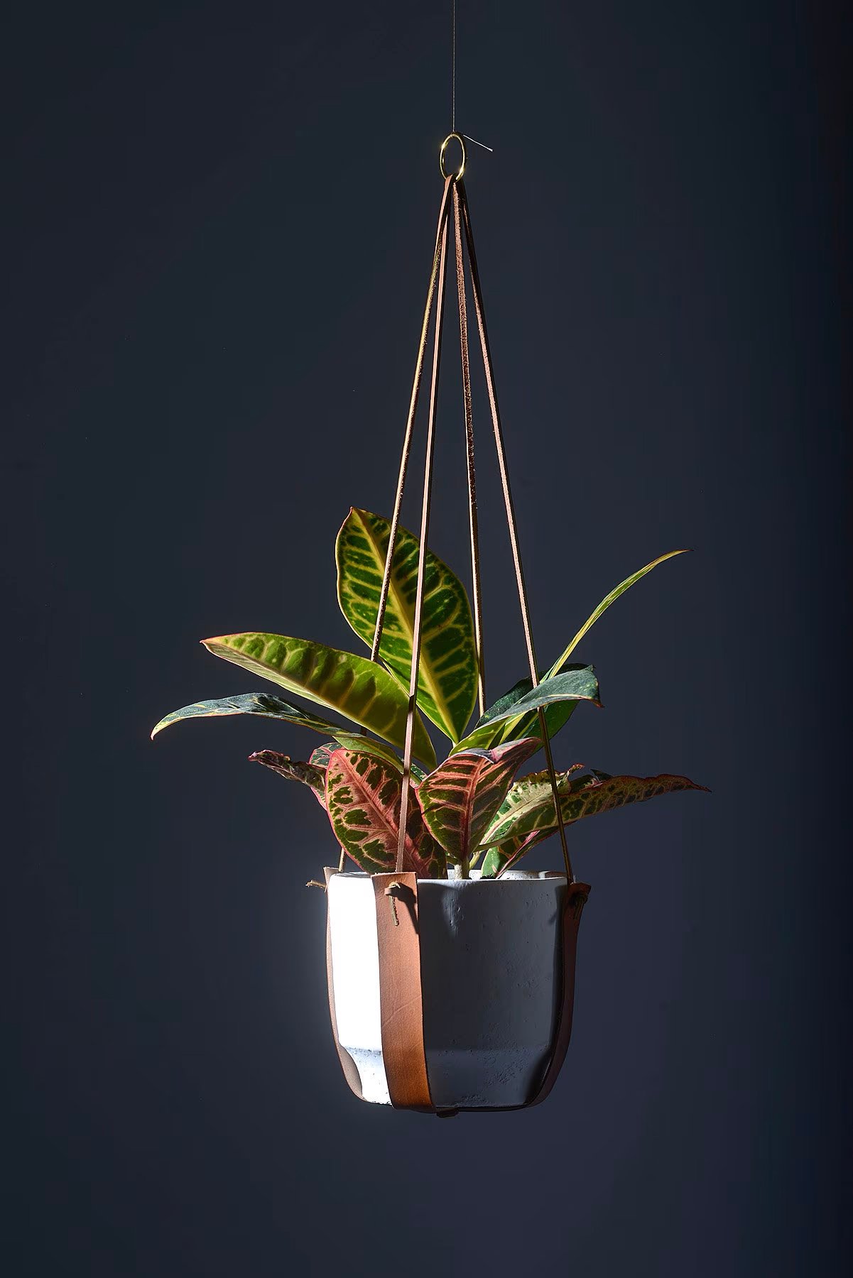 Image of Plant Hugger Leather Plant Pot Hanger