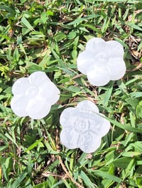 Image 1 of Selenite Flowers