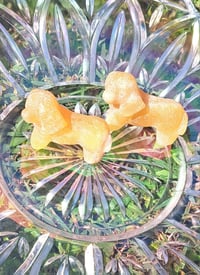 Image 1 of Orange Calcite Puppy Dogs