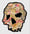 Image of Skull #2 Sticker