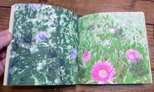 Image of Garland Variations: A CSP Riso Anthology