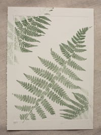 Image 1 of Fern 08 - Botanical Monoprint - A5 - Dark Green