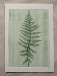 Image 1 of Fern 06 - Botanical Print - A5 - Green Ghost Print 