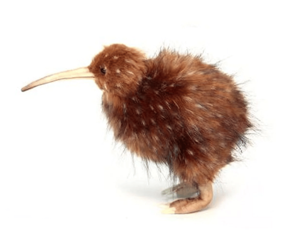 Image of Cockatiels, Kiwis , Crows a Dodo Bird, and A Flying Fish! 