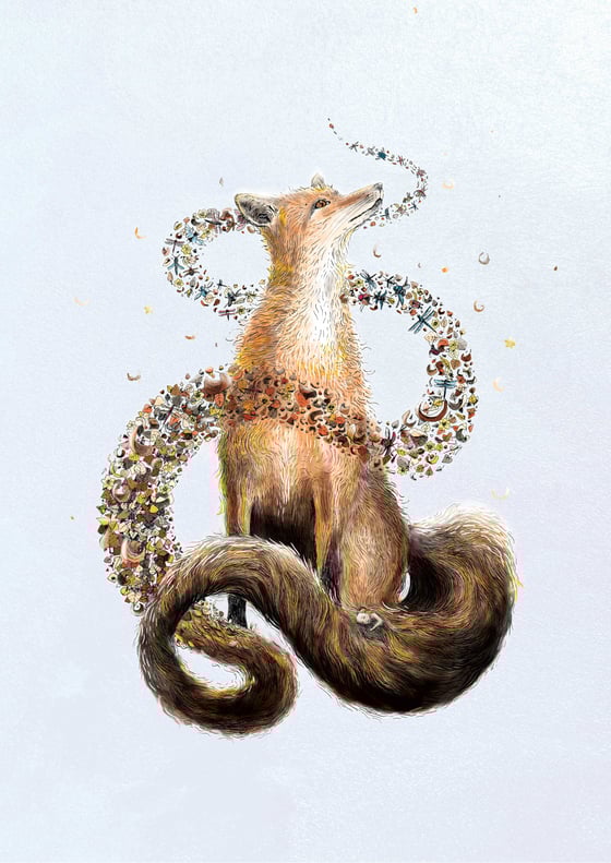 Image of Renard